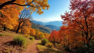 découvrez les plus belles forêts d'espagne à explorer à l'automne 2025 : paysages envoûtants, couleurs éclatantes et itinéraires magiques pour des balades inoubliables au cœur de la nature espagnole.